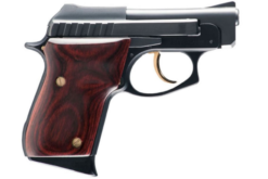 Taurus PT-22 Rimfire Pistol